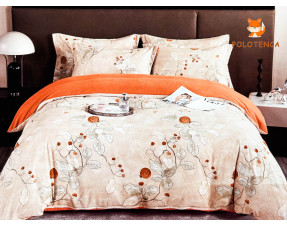 Постель вареный сатин 2ка №21