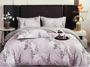 Постіль варена бавовна євро №22