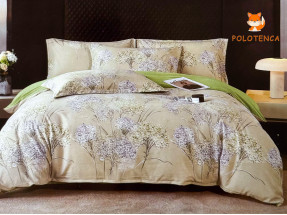 Постель вареный хлопок евро №3