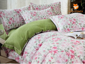 Постіль євро four piece suit №4