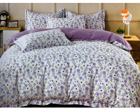 Постіль євро four piece suit №2