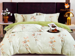 Постіль варена бавовна євро №5
