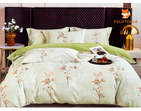 Постіль варена бавовна євро №5