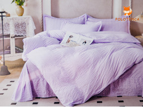 Постельное белье Фиолетовый муслин евро №3