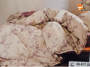 Постіль COMFORTABLE 2ка №9